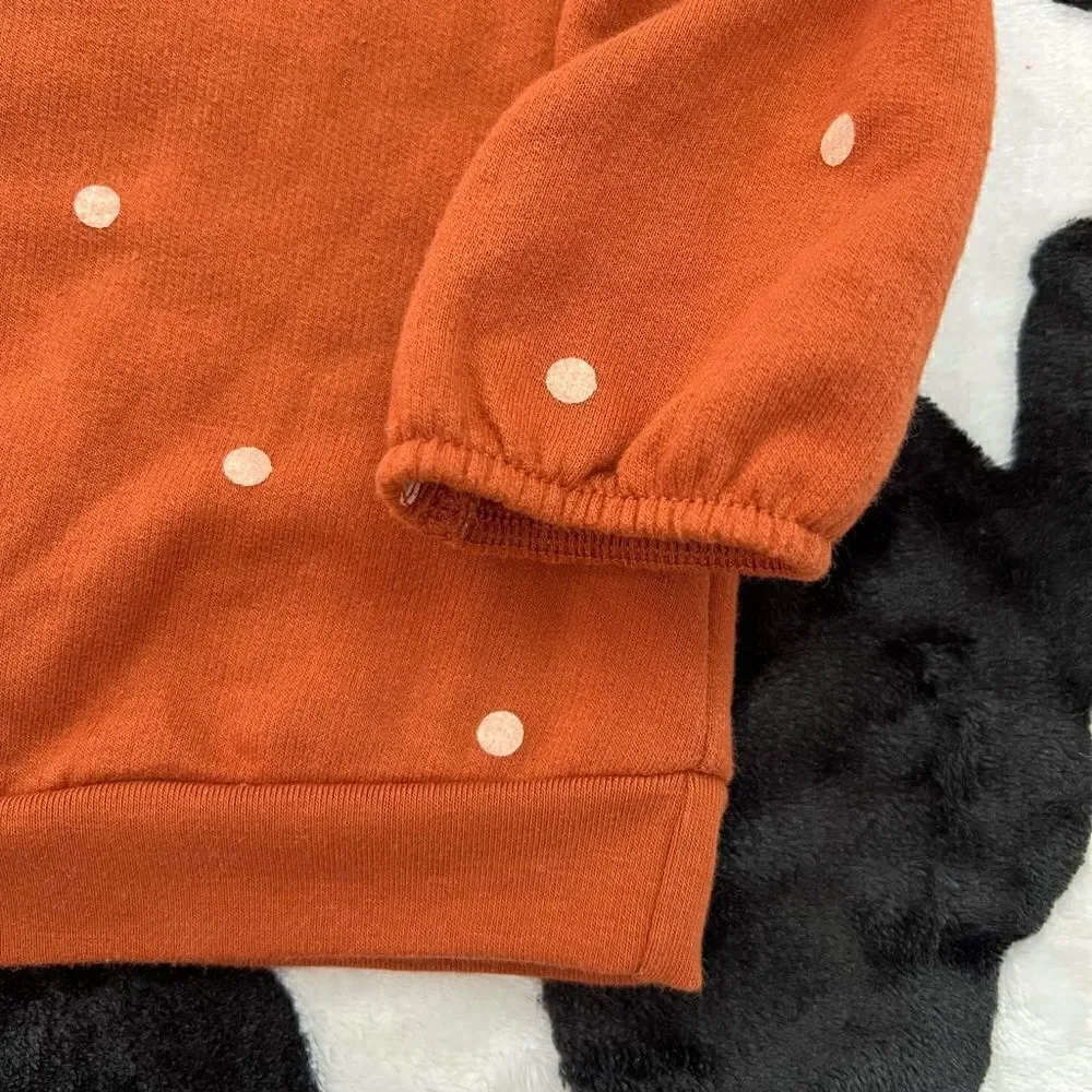 Baby Girl Cat & Jack Fall 3 Piece Matching Set 12 months